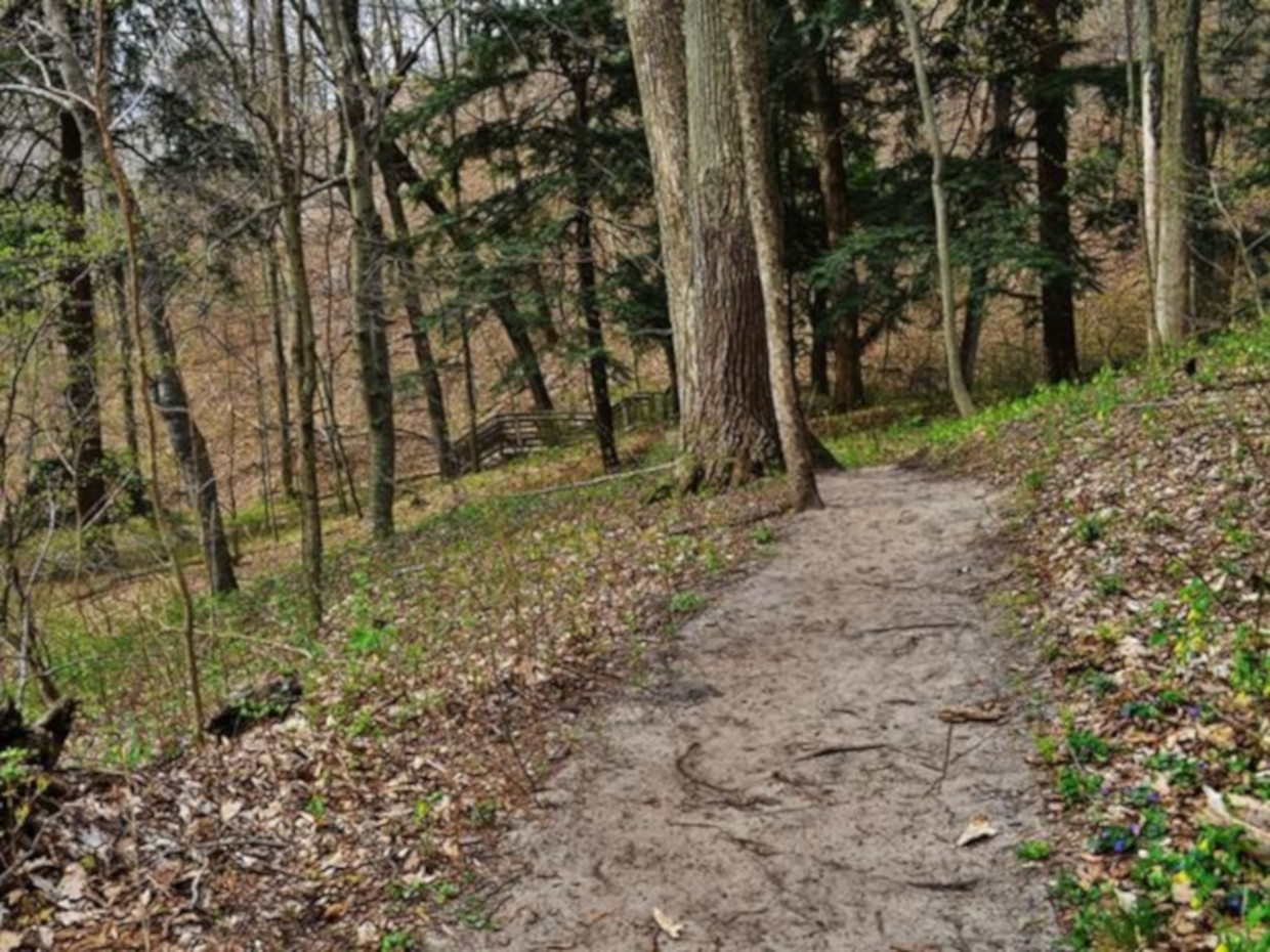Albert C. Keppel Forest Michigan