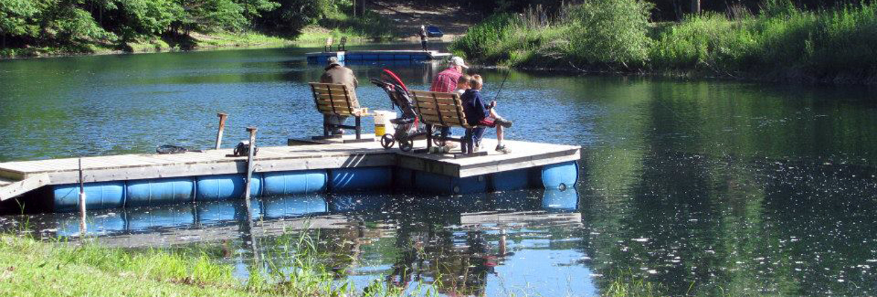 Unleash Your Inner Camper: Pennsylvania's Dogwood Haven Family Campground