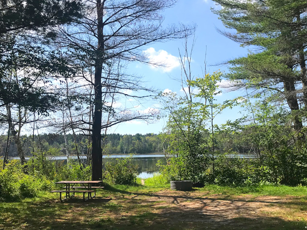 Tomahawk Lake State Forest Campground Michigan