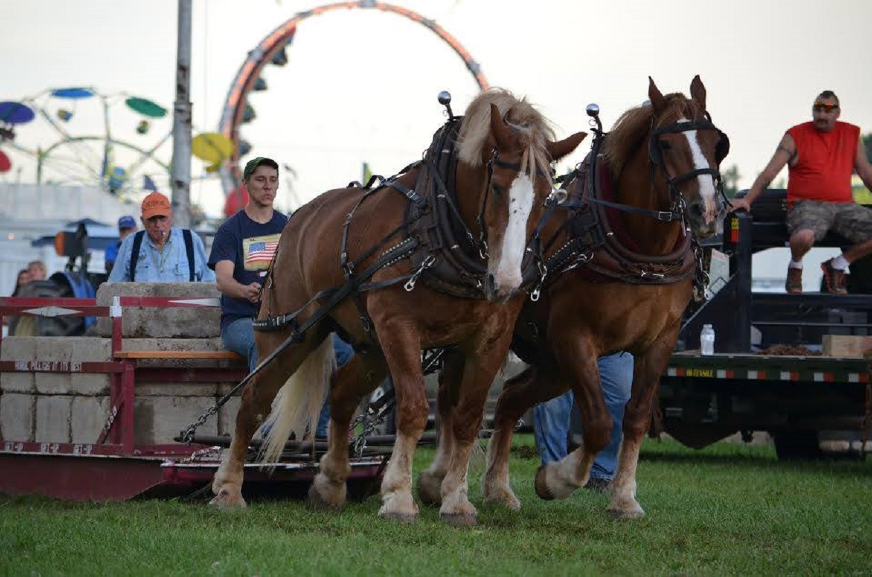 Shiawassee County Fairgrounds Michigan