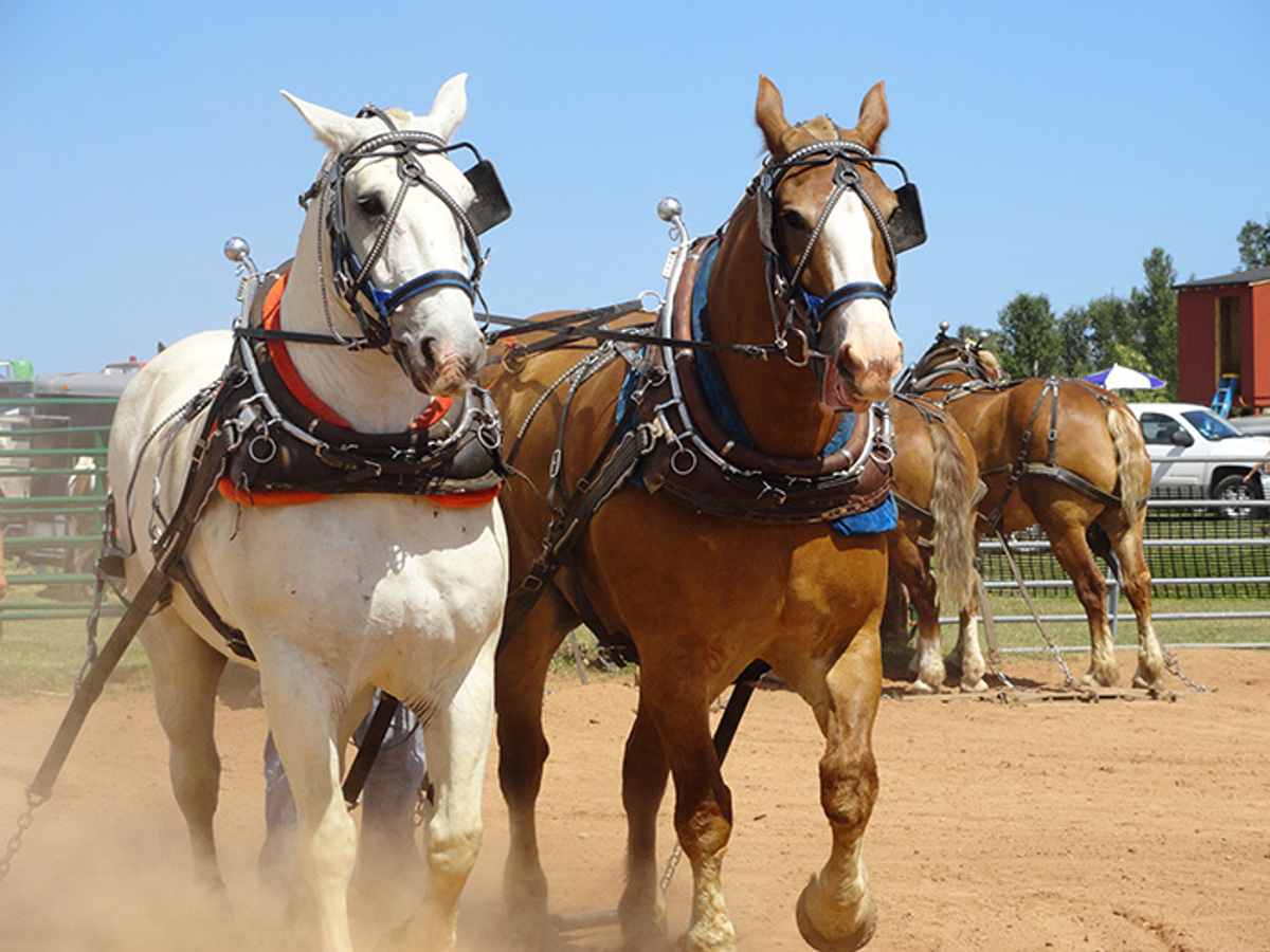 Baraga County Fairgrounds Michigan