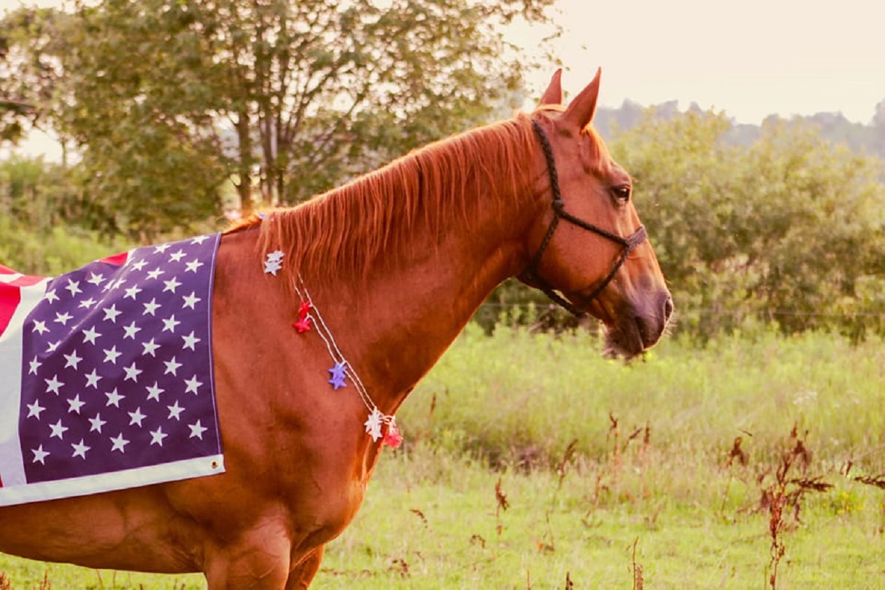 Sundance Riding Stables Michigan
