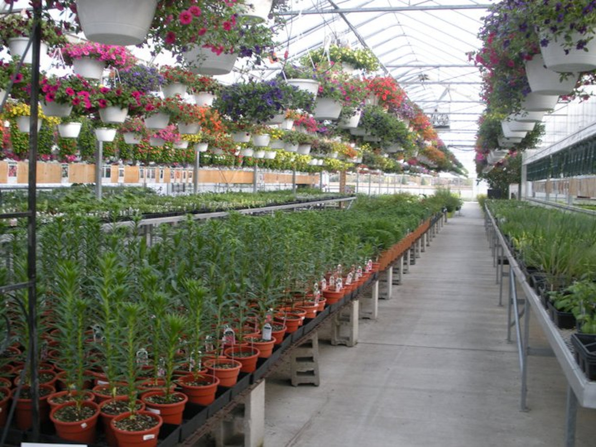 Parran's Greenhouse and Farm Market Michigan