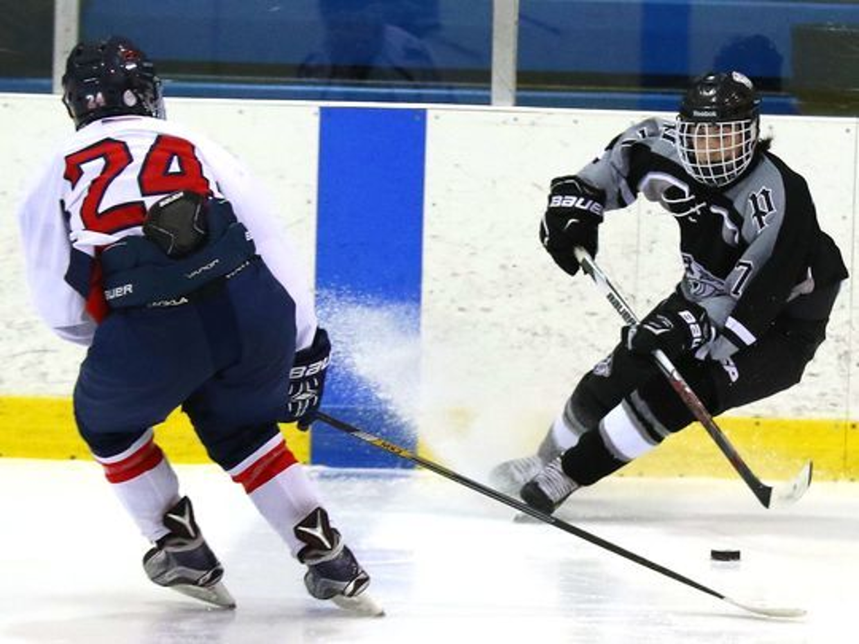 Arctic Pond Arena Michigan