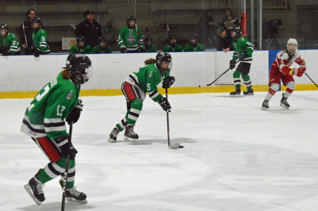 Taylor Sportsplex Michigan