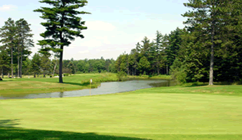Swampfire Golf Course Michigan