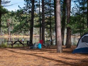 Round Lake State Forest campsite Photo