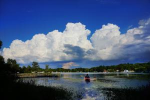 Pinckney Recreation Area Photo