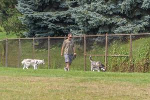 Red Oaks Dog Park Photo