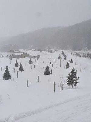 Winter 2025 - KWR Campground  Photo