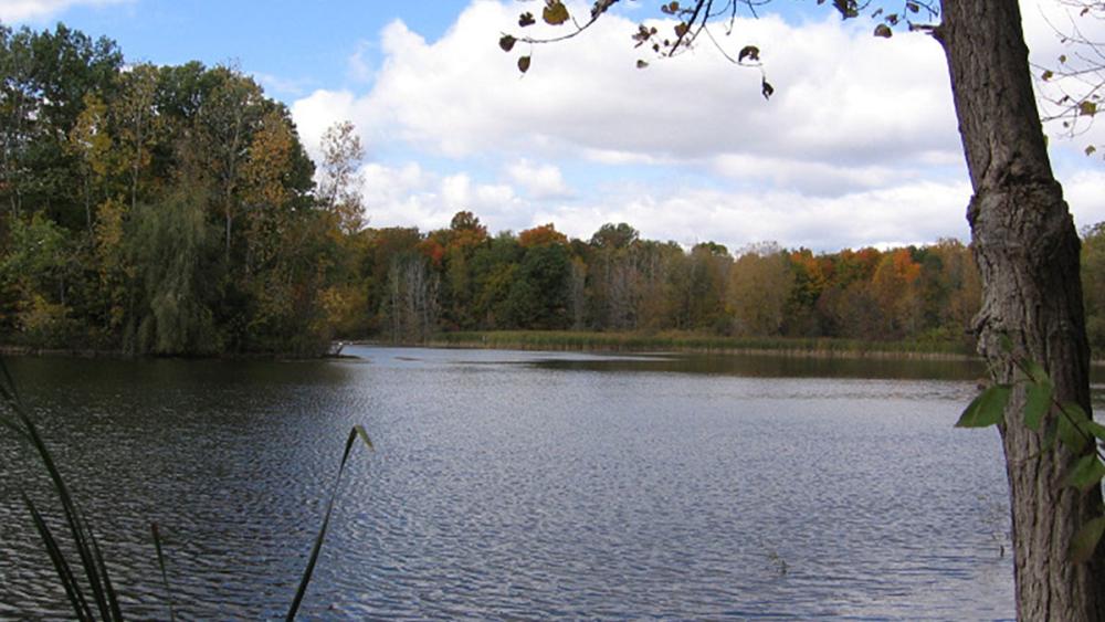 Maybury state park top mountain bike trail