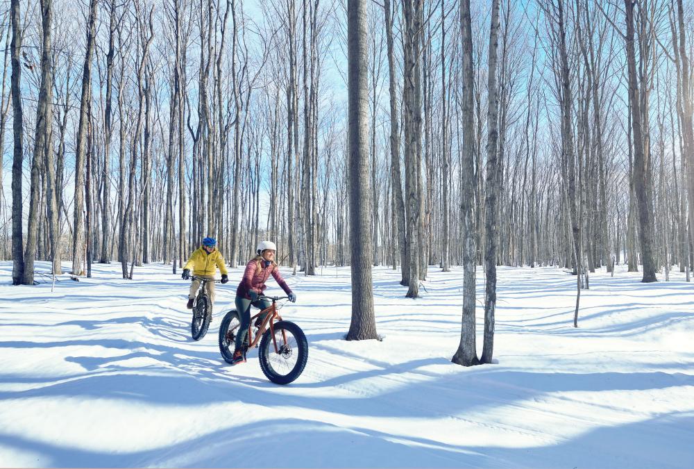 Crystal mountain on sale bike park