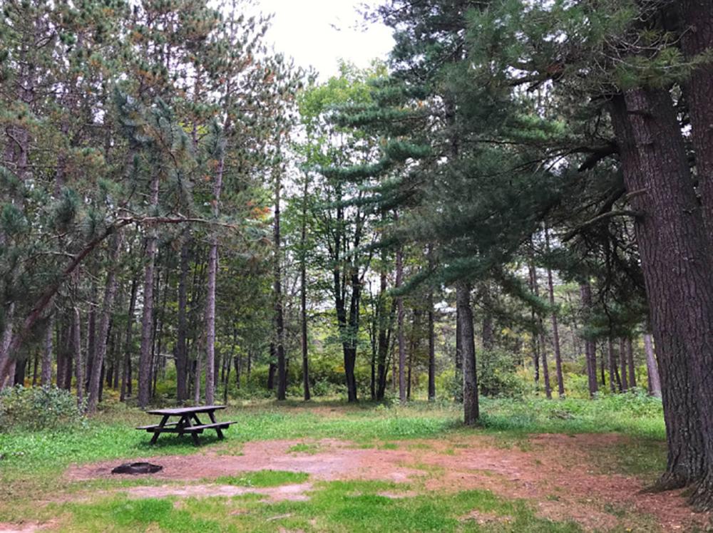 Goose creek trail on sale camp