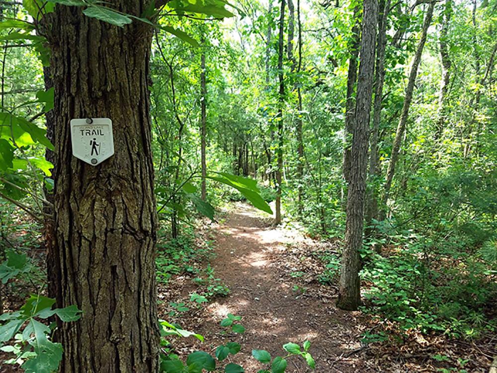 Island lake hot sale bike trail