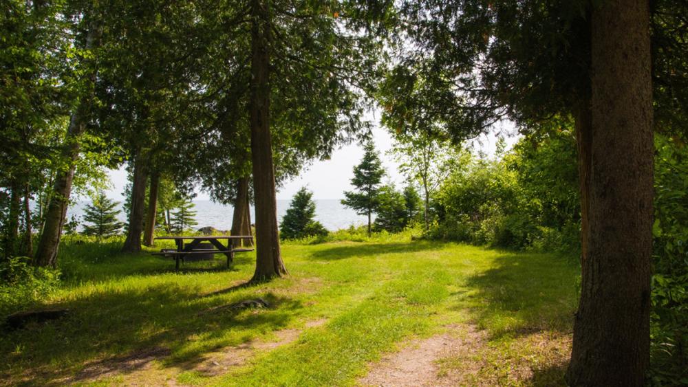 Hog Island Point State Forest Campground Michigan