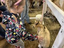 Easter with the Equest Bunny Photo