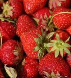 a bunch of strawberries and their stems setting in a pile on a table