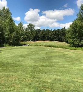 golf green on a sunny but puffy cloudy day, pines line both sides of the course