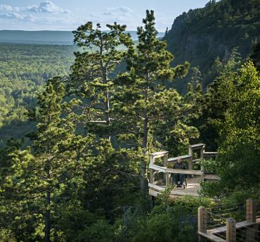 A man in a wheel chair on a scenic overlook over a valley