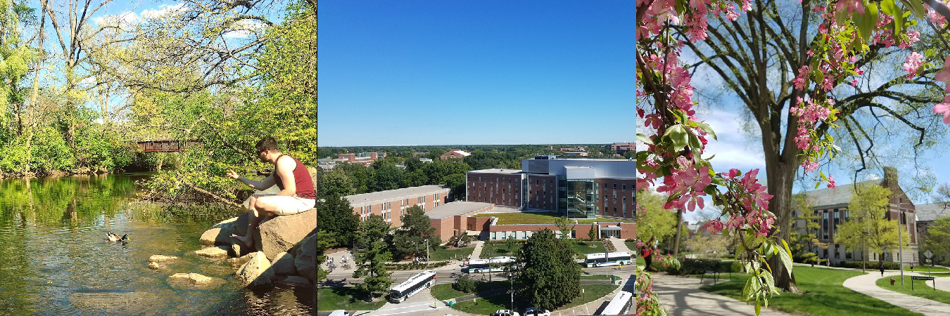 7msu.jpg