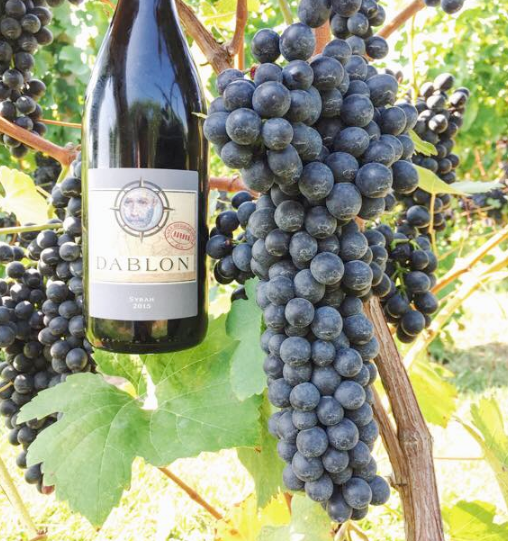 Dablon Vineyards, Baroda