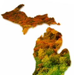 FallcolorMAPweek4_1.jpg