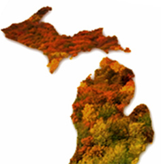FallcolorMAPweek6.jpg