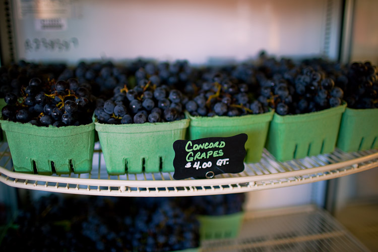 Grapes.jpg