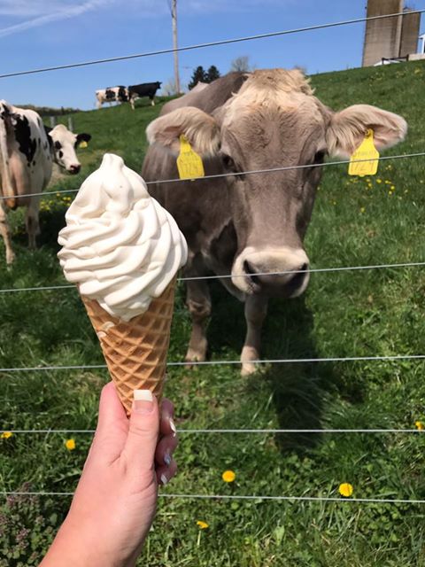 MOO-Ville Creamery.jpg