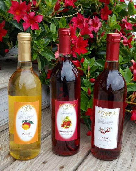 McIntosh Apple Orchards & Winery, South Haven