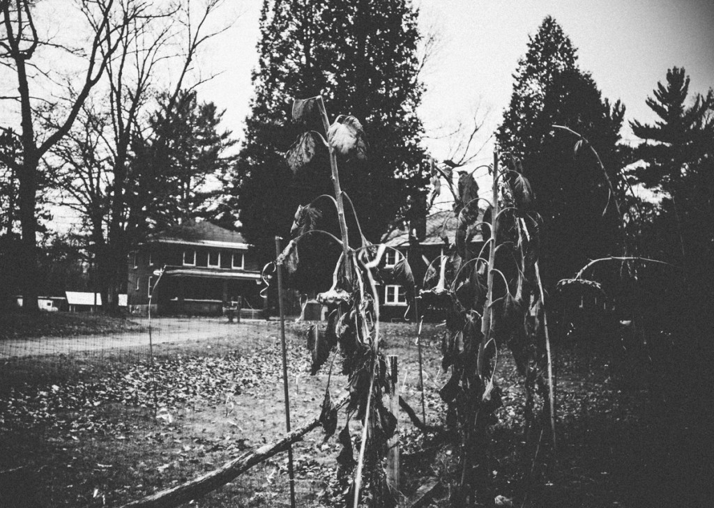 Morgan Heights SANITORIUM_ travel marqutte.jpeg