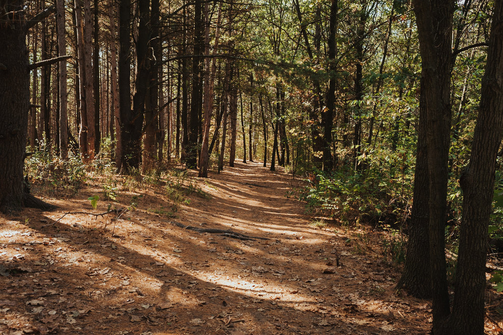 Provin Trails