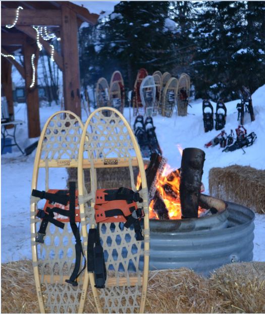 types of snow shoes