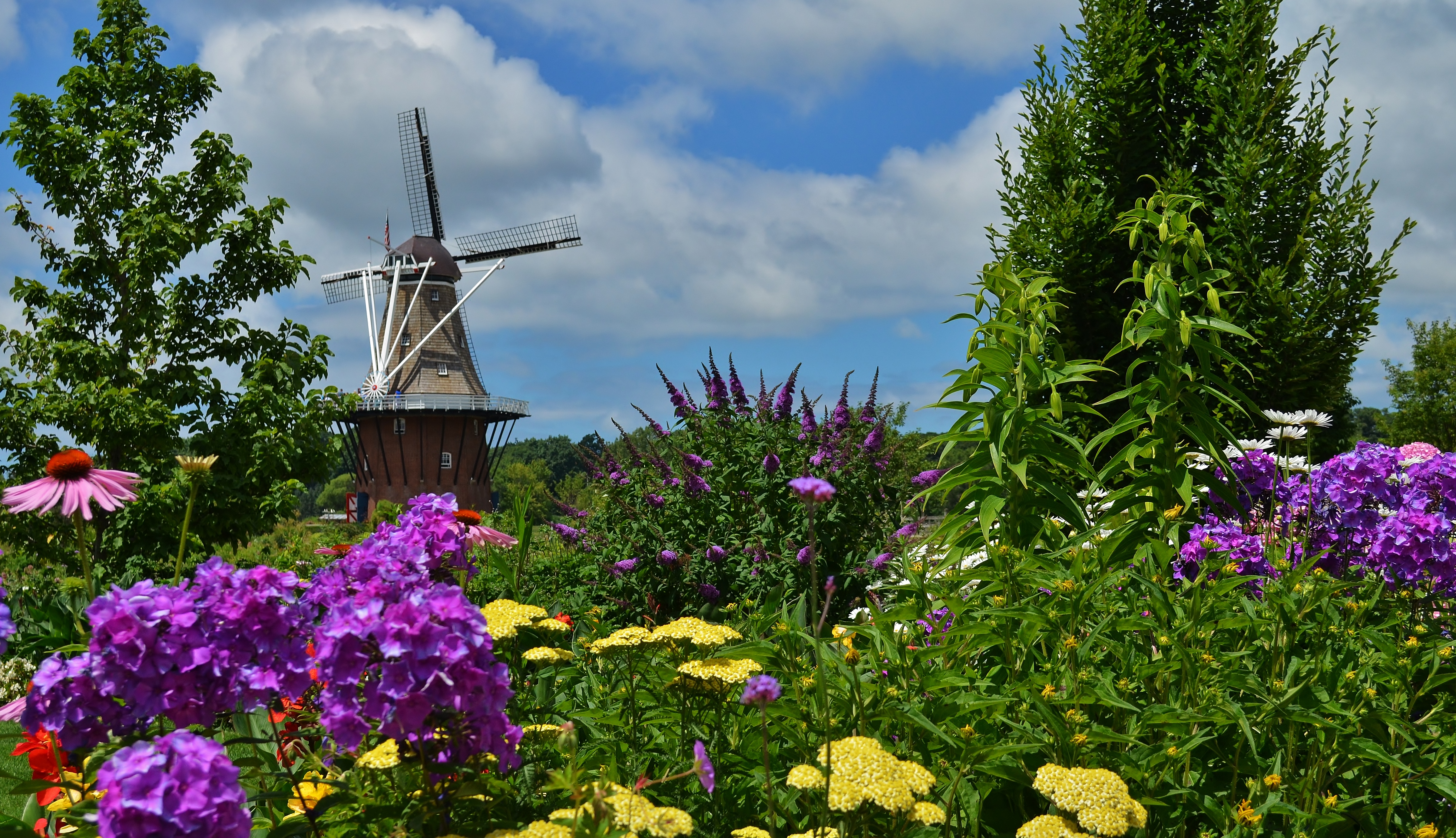 working windmills holland