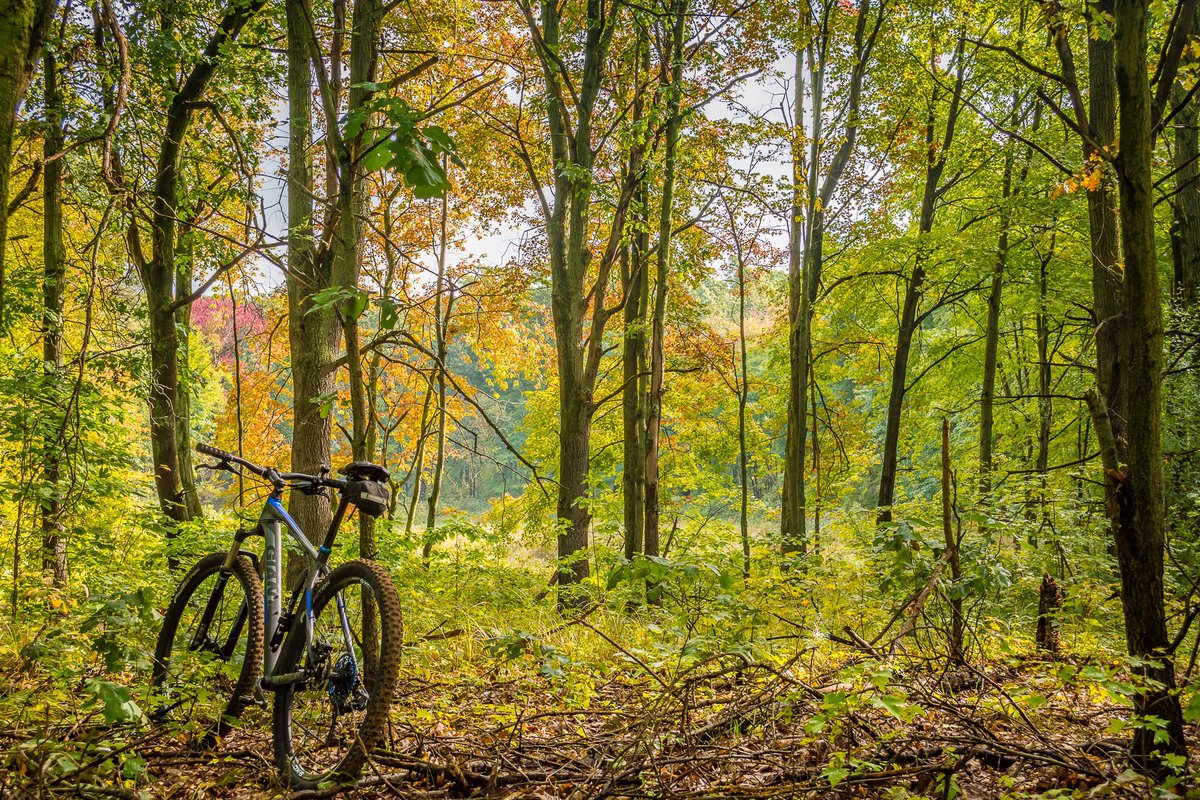 Biking in Fall