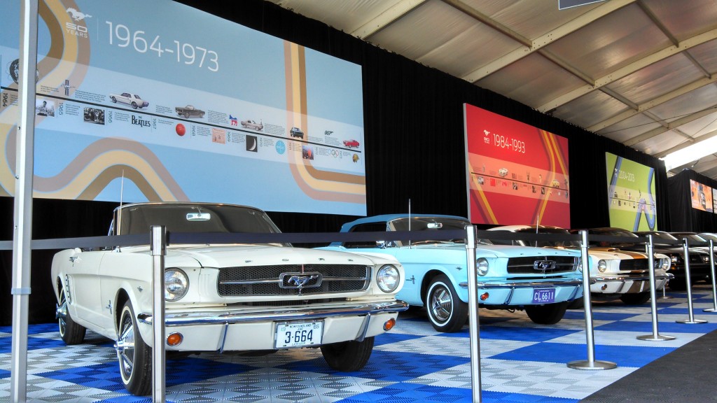 mustang exhibit THF.jpg