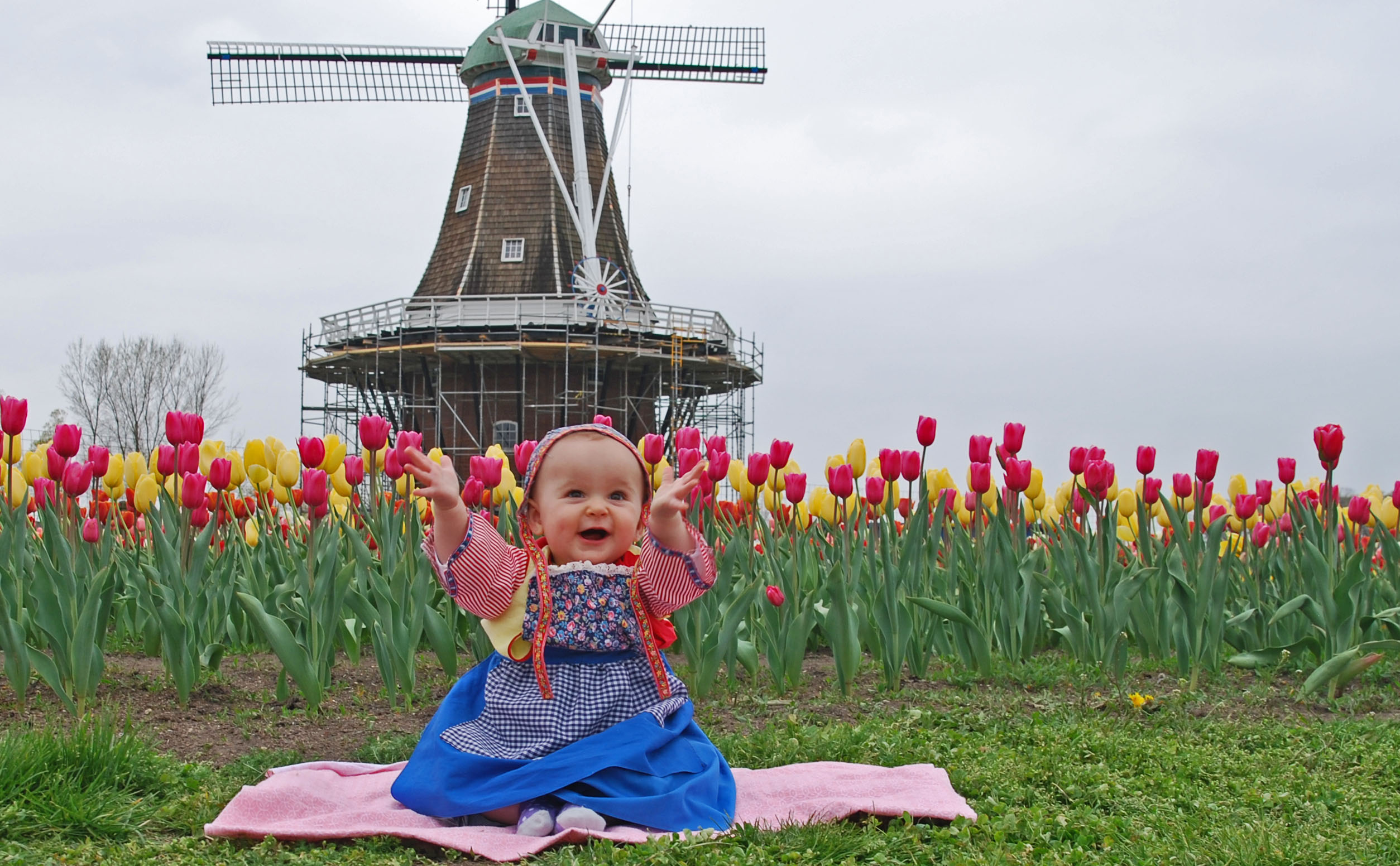 windmill island 5.jpeg