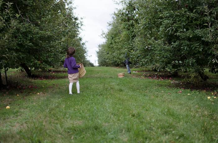 Apple picking with the family