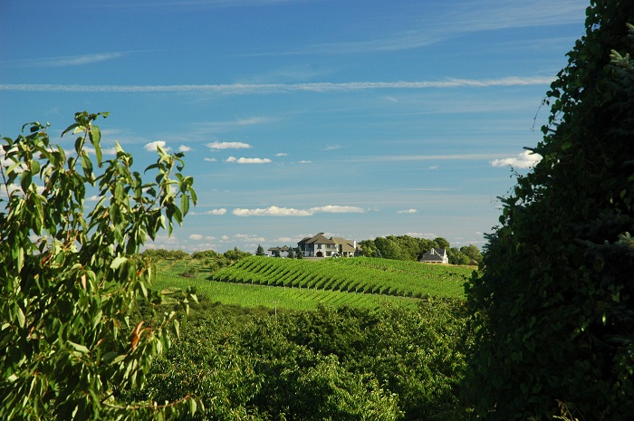 Chateau Chantal