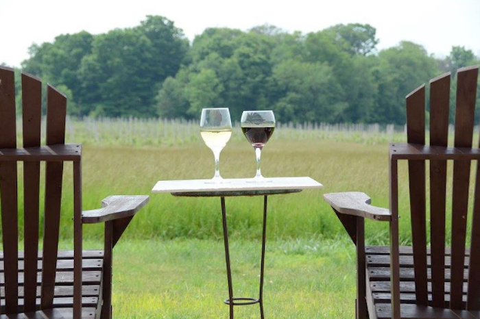 Best Michigan Wineries To Visit Food Wine