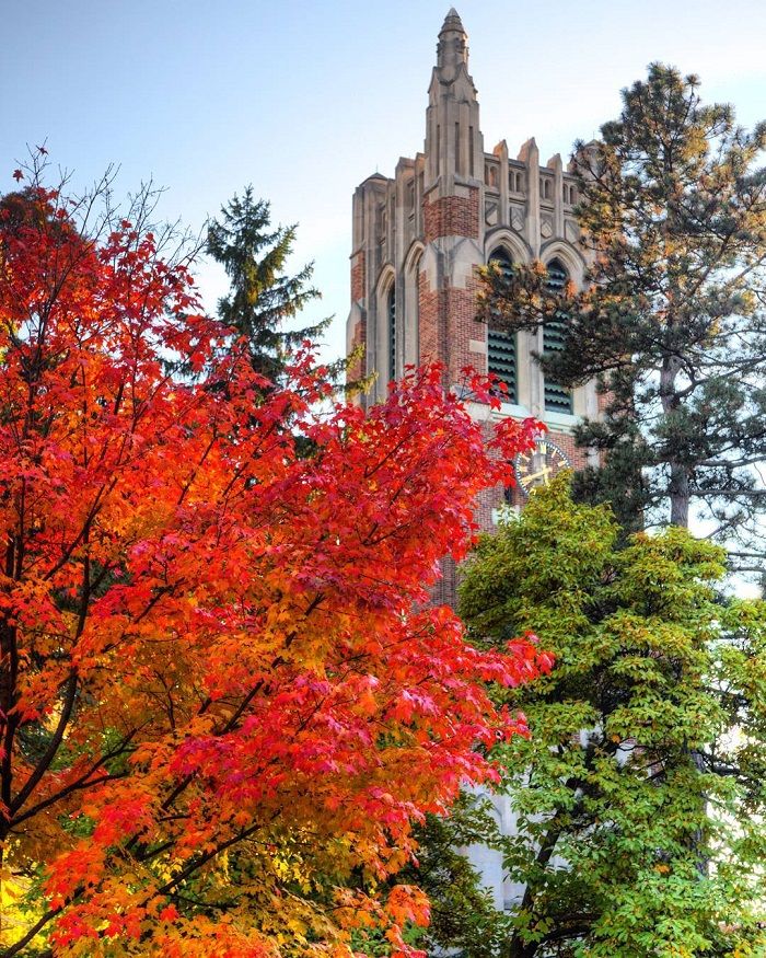 Michigan State University Campus in the Fall