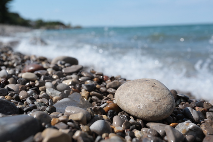 Where to Find Petoskey Stones in Michigan | Michigan