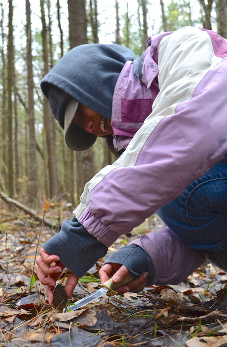 Picking Morel Mushrooms