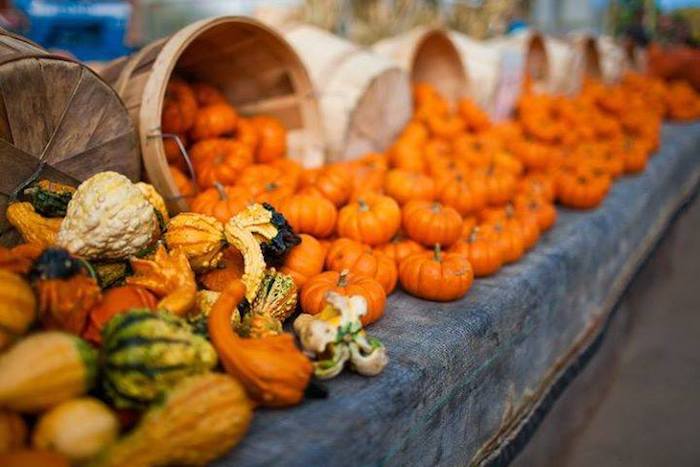 Fall Farmers Market
