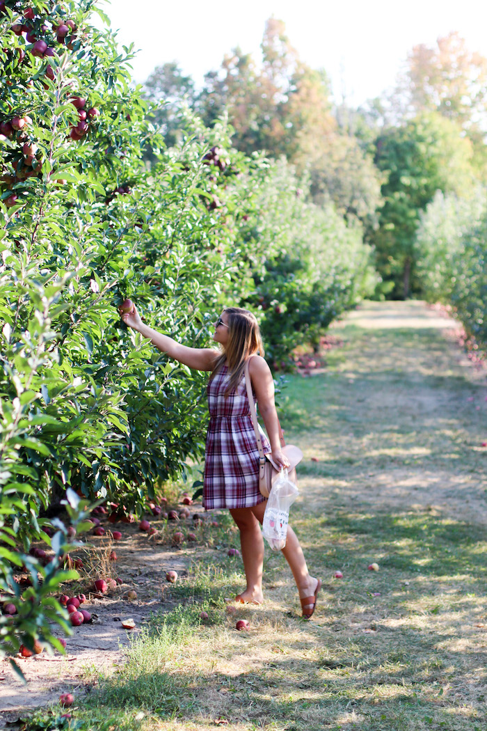 Robinette’s Apple Haus & Winery