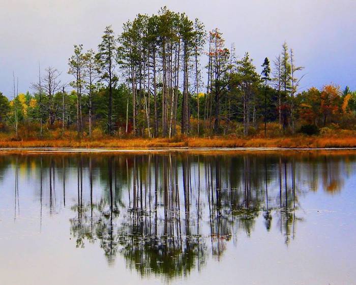 Seney Wildlife Refuge