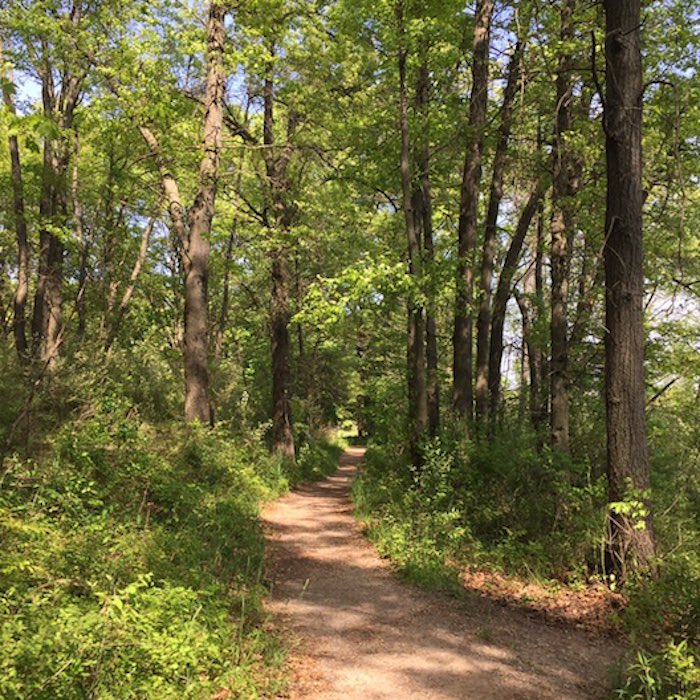 Trail in Kensington Metropark