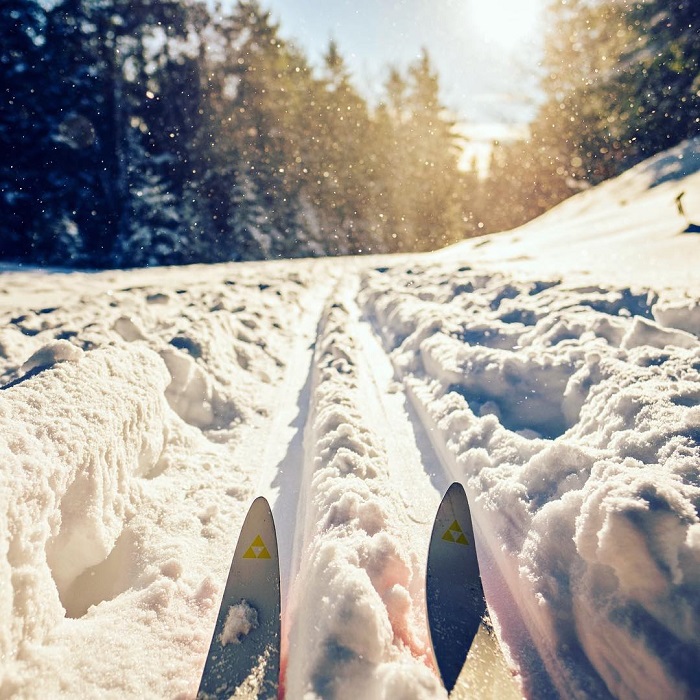 Cross Country Skiing in Petoskey