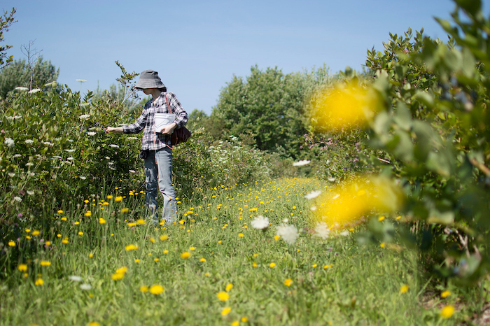 Gardening in St. Joseph