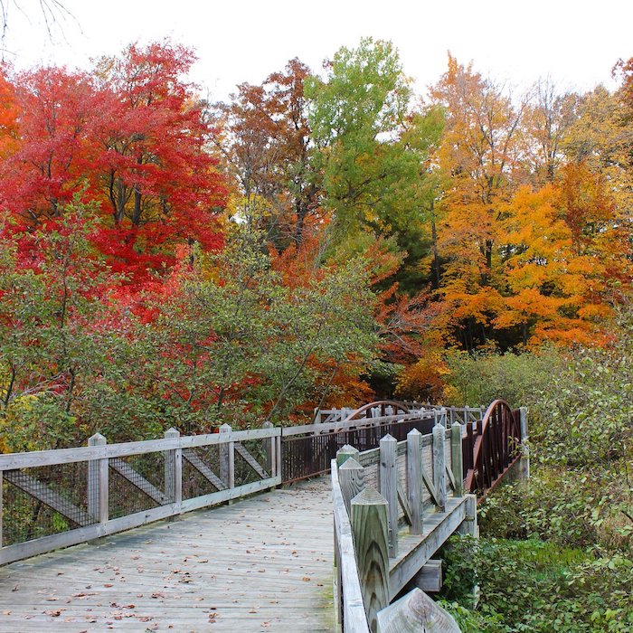 michigan places to visit fall